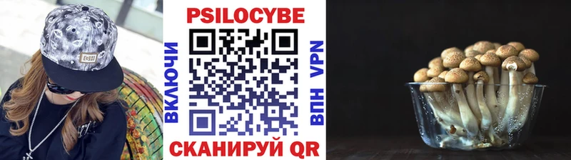Купить где  Игарка  Псилоцибиновые грибы Cubensis 